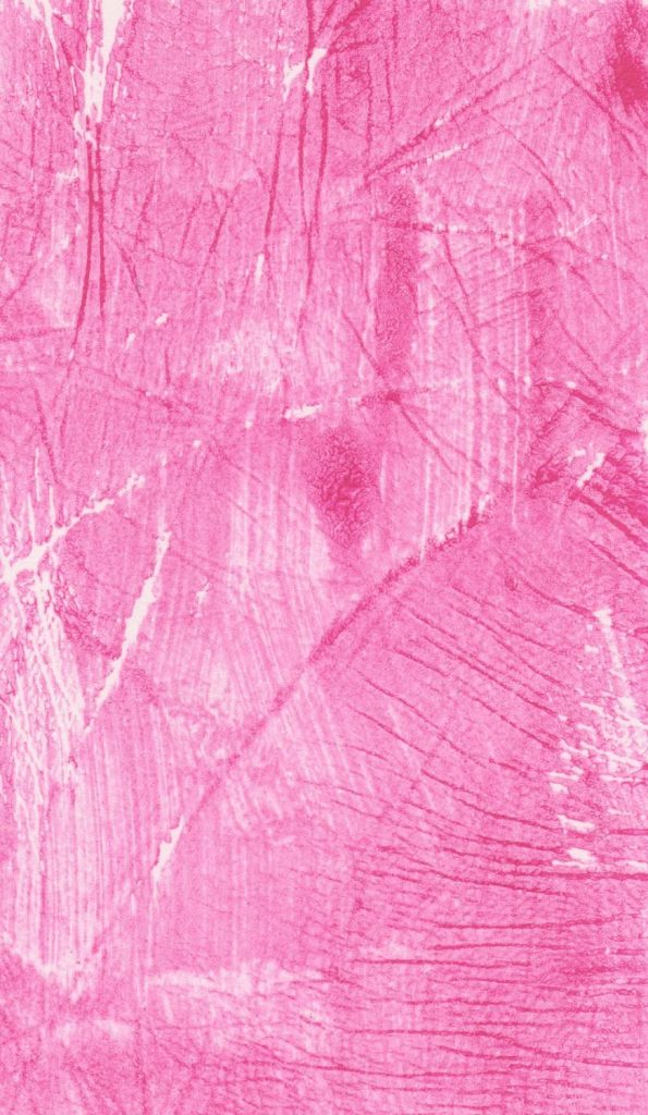 Pink Paint Swab - Imp Prints Co.